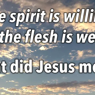 Biblical Question: "The Spirit is willing but the flesh is weak"