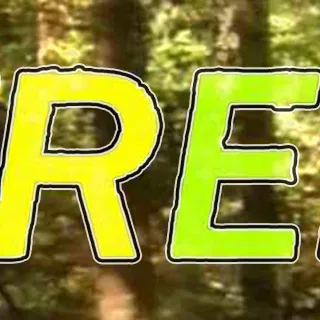 In order to be free, you must forgive (Women's Forum)